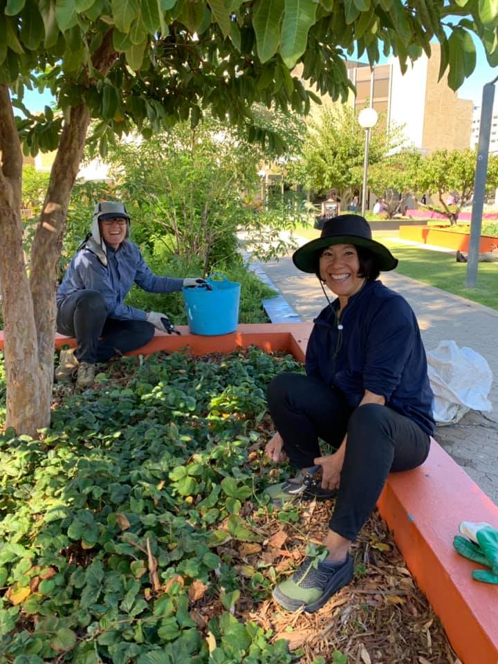 City Greening Volunteers