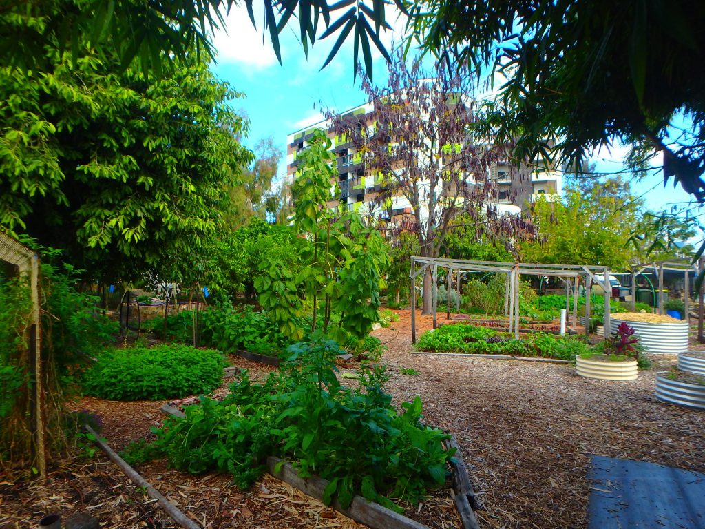 Perth City Farm is designed using permaculture principles