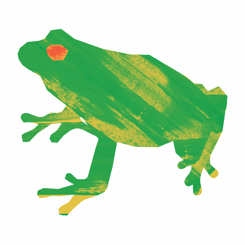 Frog illustration