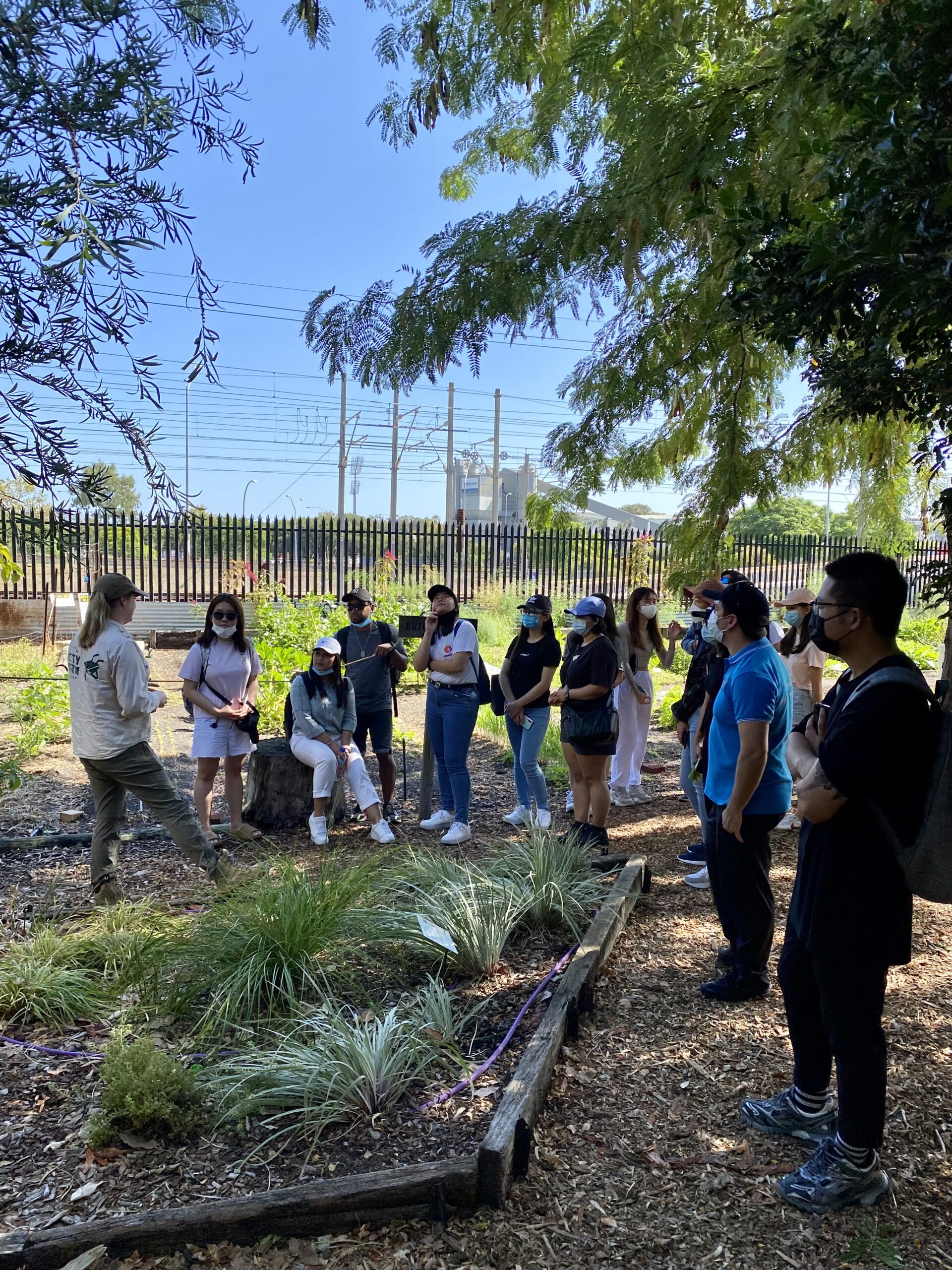 Corporate Volunteering Perth City Farm
