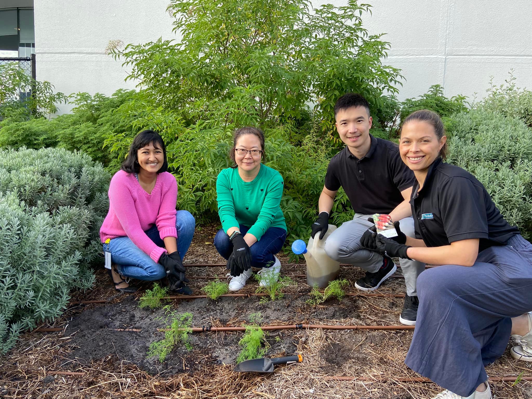 Corporate Volunteering In Melbourne