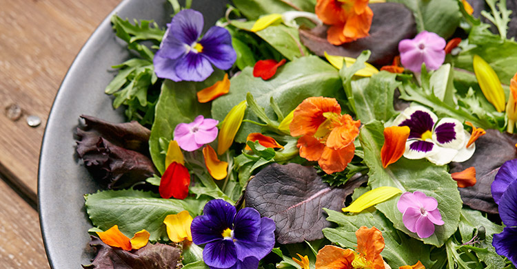 Growing　Using　Flowers　Farm　and　City　Edible　Perth